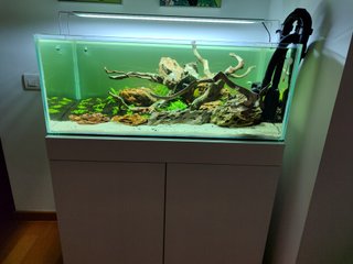 Acuario + Mueble Blanco