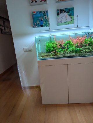 Acuario + Mueble Blanco