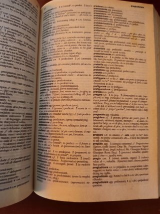 Dizionario Inglese Garzanti