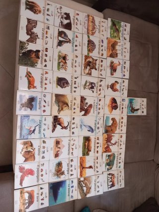 Libri per bambini