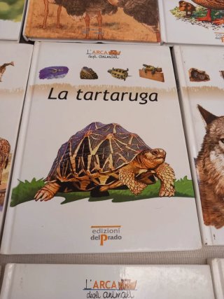 Libri per bambini
