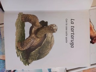 Libri per bambini