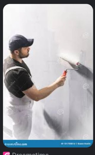 Pintor económico y profesional