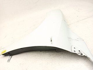 ALETA DELANTERA IZQUIERDA RENAULT MEGANE III BERL