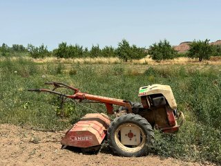Mula Lander 14cv