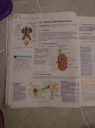 Atención sanitaria : grado medio