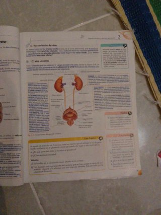 Atención sanitaria : grado medio