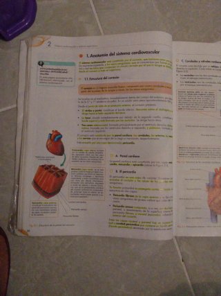 Atención sanitaria : grado medio