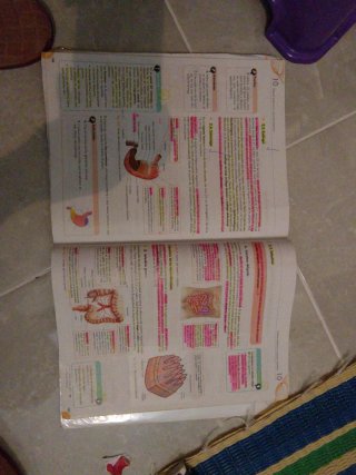 Atención sanitaria : grado medio