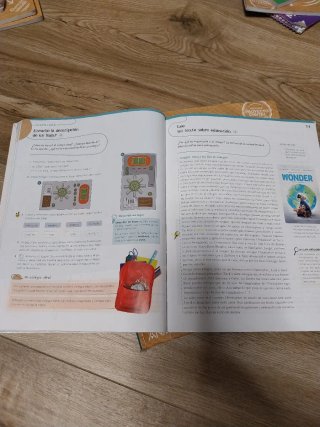Lote libros 5 primaria