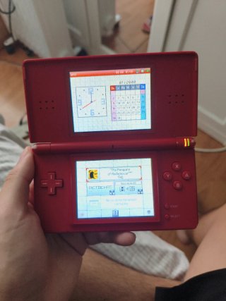 Nintendo DS Lite Rossa + Gioco I Pinguini