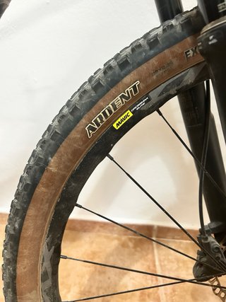SPECIALIZED EPIC HT CARBONO 29