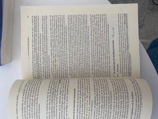 Principios de Derecho Civil. Tomo VI. Sucesione...