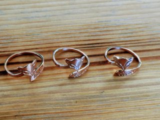 Lote de anillos