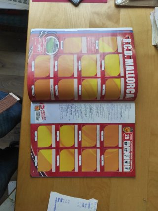 Álbum vacío Panini Liga BBVA 2010-2011 10 11