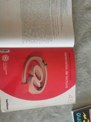 Lengua Castellana y Literatura, 4 ESO, Proyecto...
