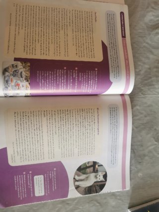 Lengua Castellana y Literatura, 4 ESO, Proyecto...