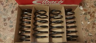 Amortiguadores Bilstein B4 sport y Muelles Eibach
