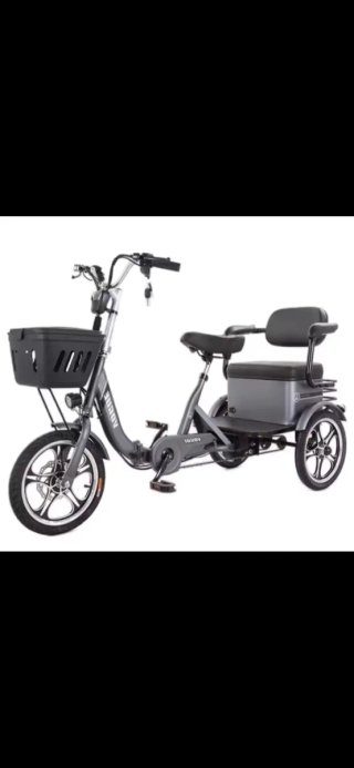 Triciclo Eléctrico Nuevo