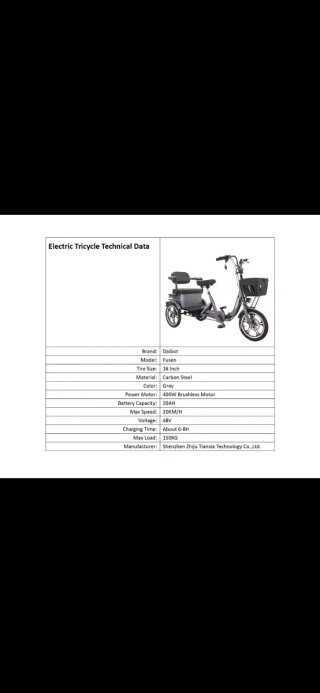 Triciclo Eléctrico Nuevo