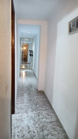 Piso en alquiler Zona Castalia-Ronda Magdalena