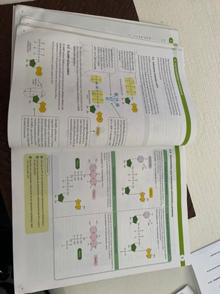 Biología, 2 Bachillerato, Proyecto Construyendo...