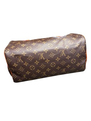 Borsa Louis Vuitton Speedy Monogram