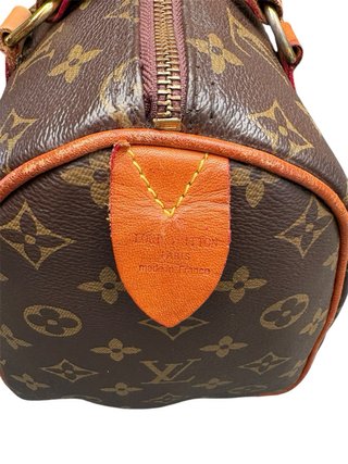 Borsa Louis Vuitton Speedy Monogram