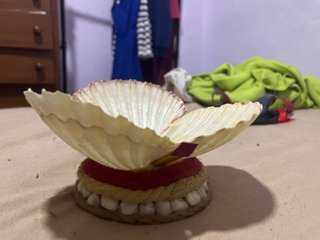 Joyero decorativo conchas