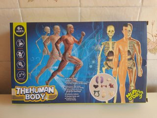 4D Master Puzzles Cuerpo Humano
