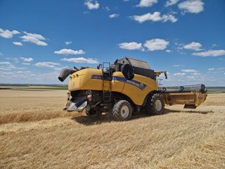 Cosechadora New Holland CX 8.70 2018