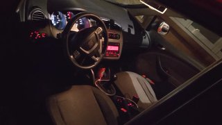 SEAT Altea 2010