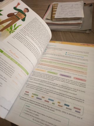 Lengua castellana y literatura, 4 Secundaria, R...
