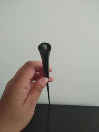 Antena Radio Coche Negra