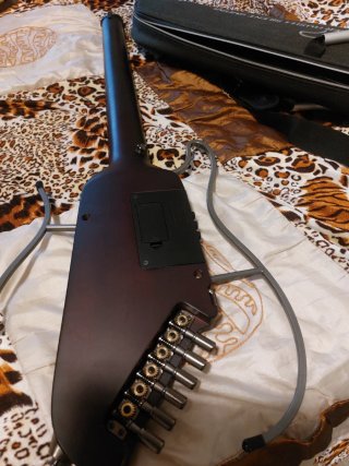 Chitarra Elettrica donner