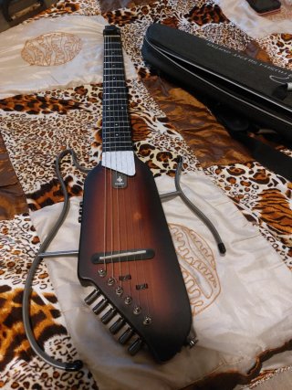 Chitarra Elettrica donner