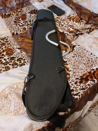 Chitarra Elettrica donner