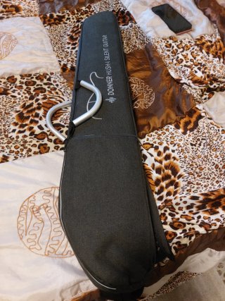 Chitarra Elettrica donner