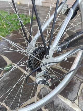 Bici City Bike da donna