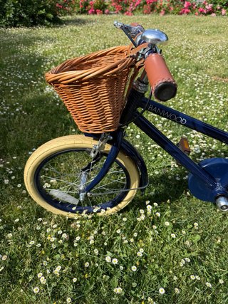 Bicicleta Banwood 16 Azul Marino