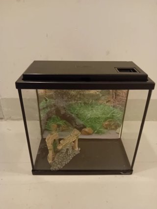 Pecera 10L con decoración