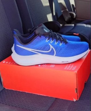 Nike Air Zoom Pegasus 39