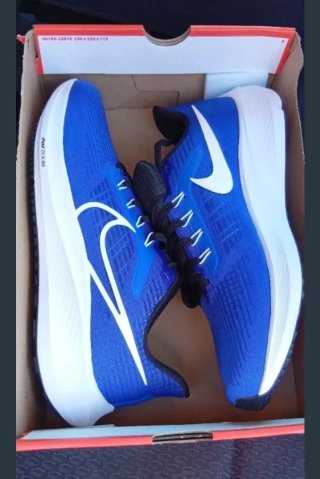 Nike Air Zoom Pegasus 39