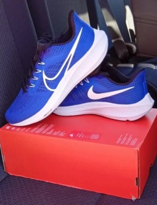 Nike Air Zoom Pegasus 39