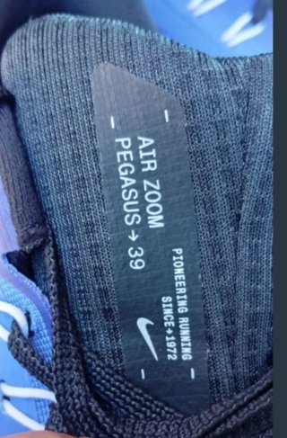 Nike Air Zoom Pegasus 39