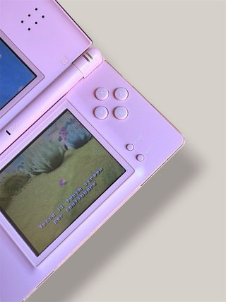 Nintendo Ds Lite