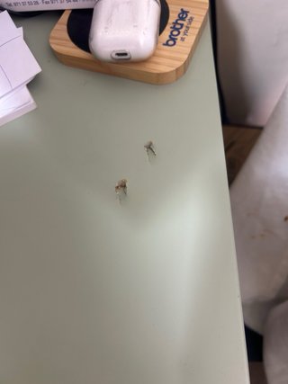 Escritorio Lagkapten / Mittba Madera y Verde
