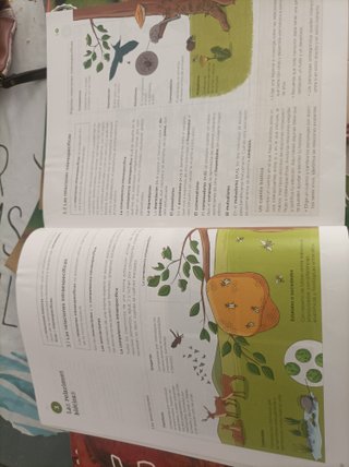 Biología y Geología 1 ESO