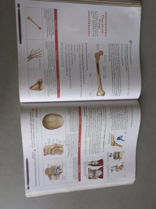 Biología y Geología 3º ESO. Libro del estudiant...