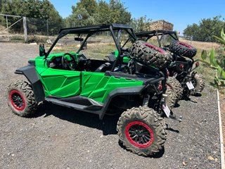 Buggy Araneus ZQ800 2 Plazas - NUEVO -